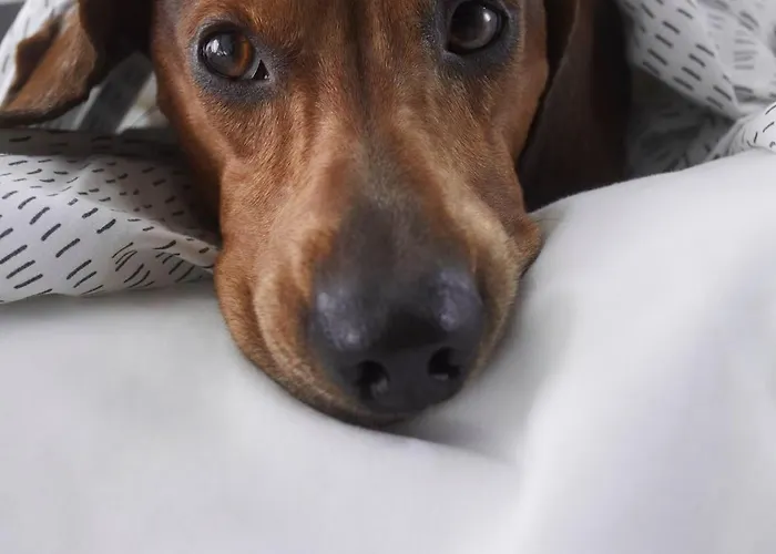 Centrum Affiliated By Melia 4*